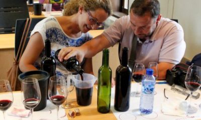 FESTIVAL-VINO-SOMONTANO-2013-Actividades-Especiales-Taller-Crea-tu-Vino-6